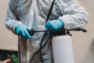 Controle de pragas em Piracicaba