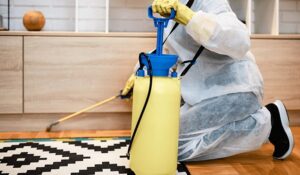 Empresa de controle de pragas